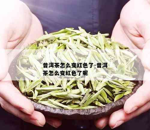 普洱茶怎么变红色了-普洱茶怎么变红色了呢