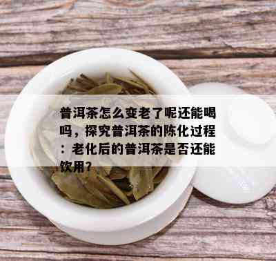 普洱茶怎么变老了呢还能喝吗，探究普洱茶的陈化过程：老化后的普洱茶是否还能饮用？