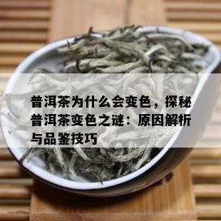 普洱茶为什么会变色，探秘普洱茶变色之谜：原因解析与品鉴技巧