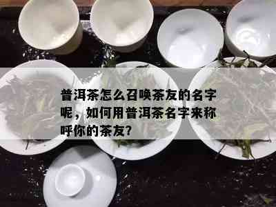 普洱茶怎么召唤茶友的名字呢，如何用普洱茶名字来称呼你的茶友？