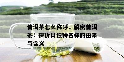 普洱茶怎么称呼，解密普洱茶：探析其独特名称的由来与含义