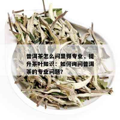 普洱茶怎么问显得专业，提升茶叶知识：如何询问普洱茶的专业问题？