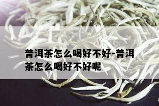 普洱茶怎么喝好不好-普洱茶怎么喝好不好呢