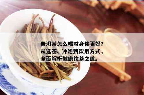 普洱茶怎么喝对身体更好？从选茶、冲泡到饮用方式，全面解析健康饮茶之道。