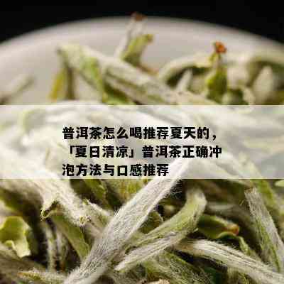 普洱茶怎么喝推荐夏天的，「夏日清凉」普洱茶正确冲泡方法与口感推荐