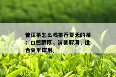 普洱茶怎么喝推荐夏天的茶：口感醇厚，消暑解渴，适合夏季饮用。