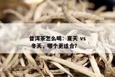 普洱茶怎么喝：夏天 vs 冬天，哪个更适合？