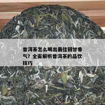 普洱茶怎么喝出更佳回甘香气？全面解析普洱茶的品饮技巧