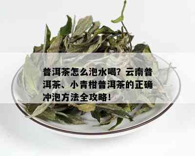 普洱茶怎么泡水喝？云南普洱茶、小青柑普洱茶的正确冲泡方法全攻略！