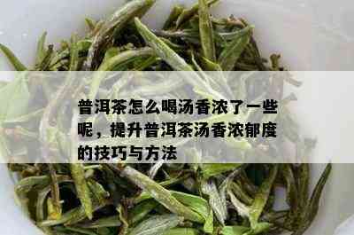 普洱茶怎么喝汤香浓了一些呢，提升普洱茶汤香浓郁度的技巧与方法