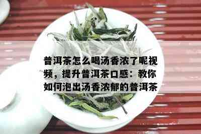 普洱茶怎么喝汤香浓了呢视频，提升普洱茶口感：教你如何泡出汤香浓郁的普洱茶