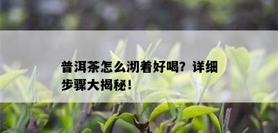 普洱茶怎么沏着好喝？详细步骤大揭秘！