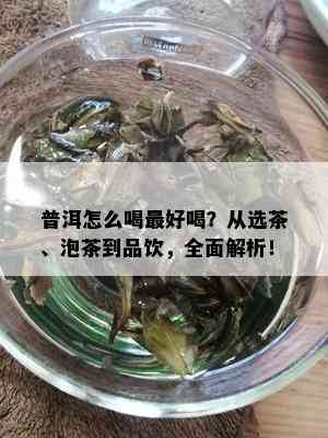 普洱怎么喝更好喝？从选茶、泡茶到品饮，全面解析！