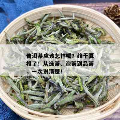 普洱茶应该怎样喝？终于真相了！从选茶、泡茶到品茶，一次说清楚！