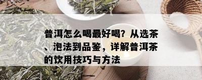 普洱怎么喝更好喝？从选茶、泡法到品鉴，详解普洱茶的饮用技巧与方法