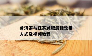 普洱茶与红茶减肥更佳饮用方式及视频教程