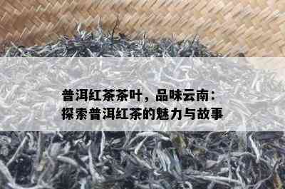 普洱红茶茶叶，品味云南：探索普洱红茶的魅力与故事