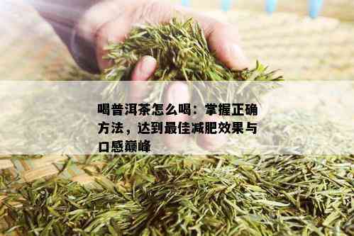 喝普洱茶怎么喝：掌握正确方法，达到更佳减肥效果与口感巅峰