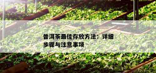 普洱茶更佳存放方法：详细步骤与注意事项