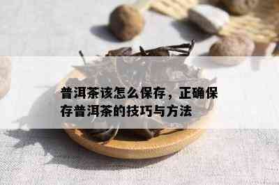 普洱茶该怎么保存，正确保存普洱茶的技巧与方法