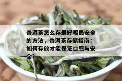 普洱茶怎么存更好喝最安全的方法，普洱茶存储指南：如何存放才能保证口感与安全？