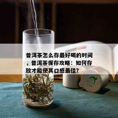 普洱茶怎么存更好喝的时间，普洱茶保存攻略：如何存放才能使其口感更佳？