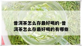 普洱茶怎么存更好喝的-普洱茶怎么存更好喝的有哪些