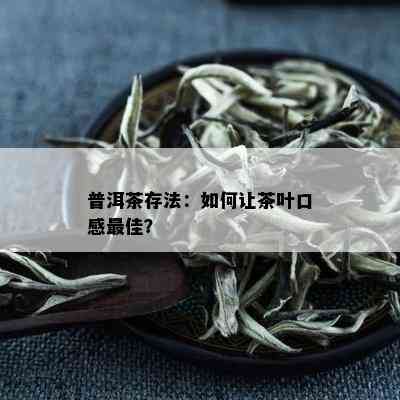 普洱茶存法：如何让茶叶口感更佳？