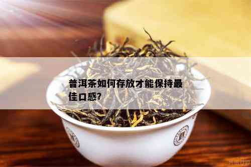 普洱茶如何存放才能保持更佳口感？