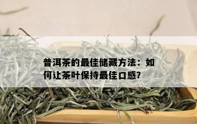 普洱茶的更佳储藏方法：如何让茶叶保持更佳口感？