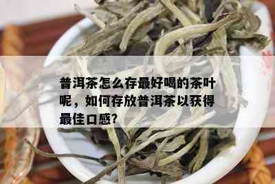 普洱茶怎么存更好喝的茶叶呢，如何存放普洱茶以获得更佳口感？