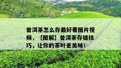 普洱茶怎么存更好看图片视频，【图解】普洱茶存储技巧，让你的茶叶更美味！