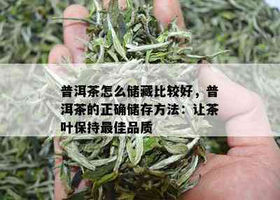 普洱茶怎么储藏比较好，普洱茶的正确储存方法：让茶叶保持更佳品质