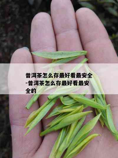 普洱茶怎么存更好看最安全-普洱茶怎么存更好看最安全的