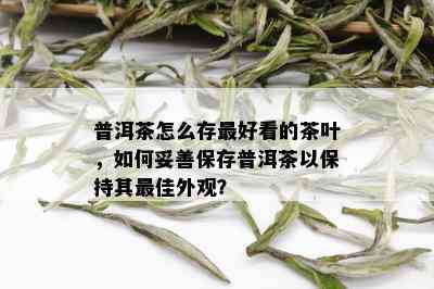 普洱茶怎么存更好看的茶叶，如何妥善保存普洱茶以保持其更佳外观？