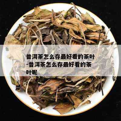 普洱茶怎么存更好看的茶叶-普洱茶怎么存更好看的茶叶呢