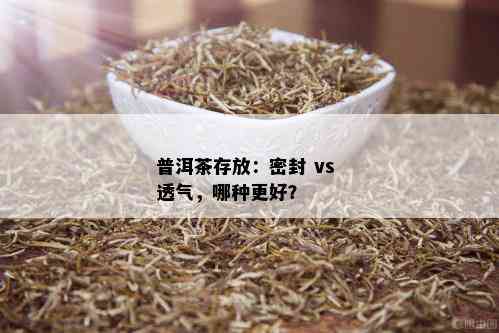 普洱茶存放：密封 vs 透气，哪种更好？