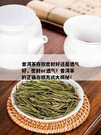 普洱茶存放密封好还是透气好，密封or透气？普洱茶的正确存放方式大揭秘！