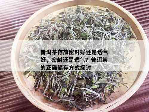 普洱茶存放密封好还是透气好，密封还是透气？普洱茶的正确储存方式探讨