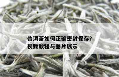 普洱茶如何正确密封保存？视频教程与图片展示