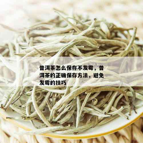 普洱茶怎么保存不发霉，普洱茶的正确保存方法，避免发霉的技巧