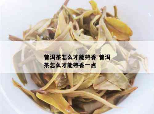 普洱茶怎么才能熟香-普洱茶怎么才能熟香一点