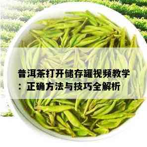 普洱茶打开储存罐视频教学：正确方法与技巧全解析