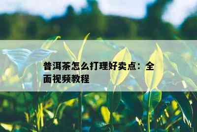 普洱茶怎么打理好卖点：全面视频教程