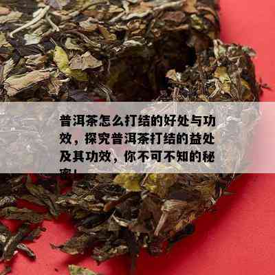 普洱茶怎么打结的好处与功效，探究普洱茶打结的益处及其功效，你不可不知的秘密！