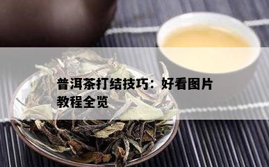 普洱茶打结技巧：好看图片教程全览