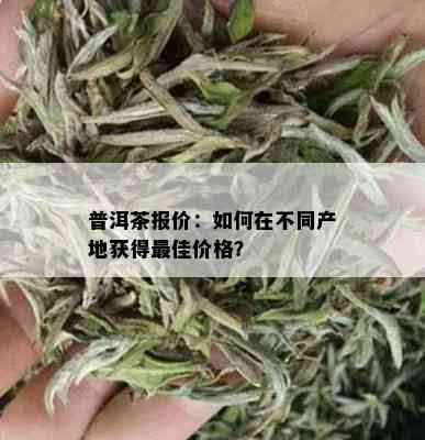 普洱茶报价：如何在不同产地获得更佳价格？