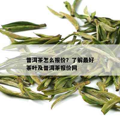 普洱茶怎么报价？了解更好茶叶及普洱茶报价网