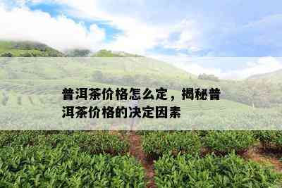 普洱茶价格怎么定，揭秘普洱茶价格的决定因素