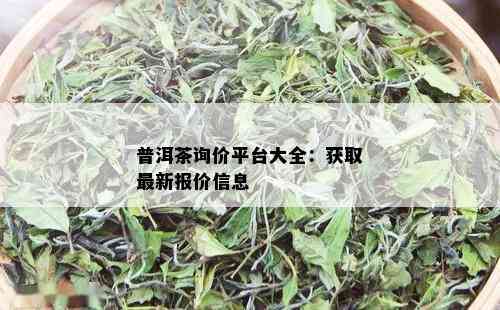 普洱茶询价平台大全：获取最新报价信息